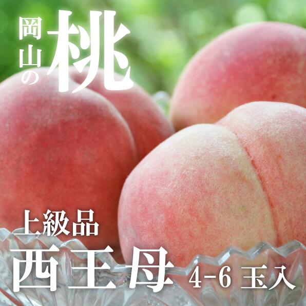 【ふるさと納税】【きよとうファーム】 女神の名を持つ希少な晩生桃、西王母(上級品)4-6玉入(岡山県産)【9月以降順次発送予定】【配送不可地域：離島】もも 桃 モモ 先行予約 フルーツ 果物 真庭市 フルーツ王国 きよとう果樹園 岡山【KF-A011-01】
