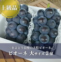 【ふるさと納税】【きよとうファーム】【上級品】ピオーネ 大2房入/計1.3kg〜(岡山県産)【8月下旬以降順次発送予定】【配送不可地域:離島】ぶどう ブドウ 葡萄 岡山 ピオーネ 先行予約 フルーツ 果物 真庭市【KF-B006-02】(4)