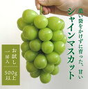 【ふるさと納税】【きよとうファーム】シャインマスカット 1房入 /500g以上 (岡山県産)【9月以降順次発送予定】【配送不可地域:離島】ぶどう ブドウ 葡萄 岡山 シャインマスカット 先行予約 フルーツ 果物 真庭市【KF-B008-01】
