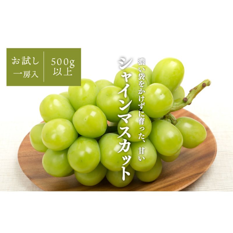 【ふるさと納税】【2026年先行予約】シャインマスカット 1房入 /500g以上 (岡山県産)