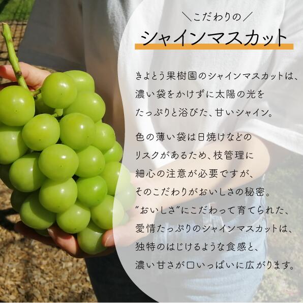 岡山県真庭市の画像3