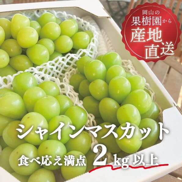 楽天市場】きよとうファーム株式会社の通販 楽天市場】きよとうファーム株式会社の通販