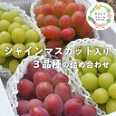 【ふるさと納税】【きよとうファーム】ぶどう3品種詰合せ(シャインマスカット入)3-5房入/計2.4kg〜(岡山県産)【9月以降順次発送予定】【配送不可地域:離島...