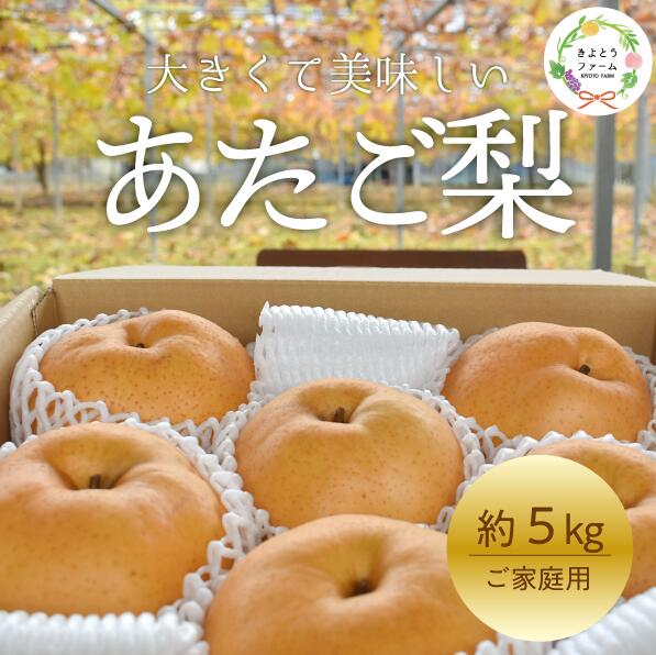 [きよとうファーム]あたご梨 ご家庭用/約5kg(岡山県産)[2025年11月以降より順次発送予定][KF-C008-02]/ あたご梨 愛宕梨 梨 果物 くだもの フルーツ ご家庭用 きよとう果樹園 フルーツ王国 岡山県産
