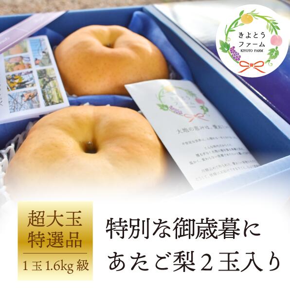 [きよとうファーム][特選品]あたご梨2玉入(1.6kg級/玉)(岡山県産)[2025年11月以降より順次発送予定][KF-C011-02]/ あたご梨 愛宕梨 梨 特選品 贈り物 御歳暮 果物 くだもの フルーツ きよとう果樹園