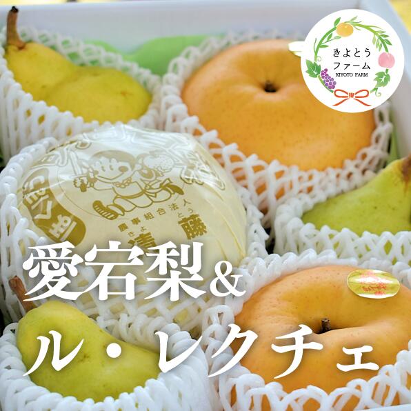 [きよとうファーム]あたご梨&ル・レクチェ 上級品/5-7玉入(岡山県産)[2025年11月以降より順次発送予定][KF-C012-01]/ あたご梨 愛宕梨 梨 洋梨 上級品 贈り物 お歳暮 果物 くだもの フルーツ