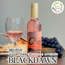 【ふるさと納税】【きよとうファーム】薫り高い黒ぶどう「黒いアルファ」のロゼワイン「BLACK DAWN」(岡山県産)【KF-S010-02】