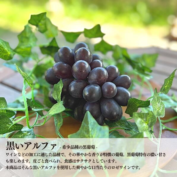 岡山県真庭市の画像3