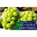 【ふるさと納税】【発送月固定定期便】【きよとうファーム】シャインマスカットを楽しむ満足便!/全便計3.9kg~全3回【配送不可地域:離島】【4066235】【KF-T045-01】