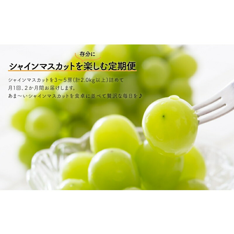 【ふるさと納税】 【発送月固定定期便】【きよとうファーム】シャインマスカットを楽しむ満足便!/全便計4.0kg〜全2回【9月 10月発送予定】【配送不可地域：離島】岡山 ぶどう ブドウ 葡萄 果物 フルーツ 甘い 定期便 産地直送【4066237】【KF-T046-02】