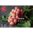 【ふるさと納税】 厳選ぶどう 岡山県産 クイーンニーナ 1.0kg以上(2房) 産地直送 朝採れ新鮮! 2025年8月25日より順次発送 【配送不可地域:離島・沖縄県】ぶどう ブドウ 葡萄 クイーンニーナ フルーツ 果物 岡山 真庭市 甘い 希少 珍しい 新鮮 樹上完熟【1394541】