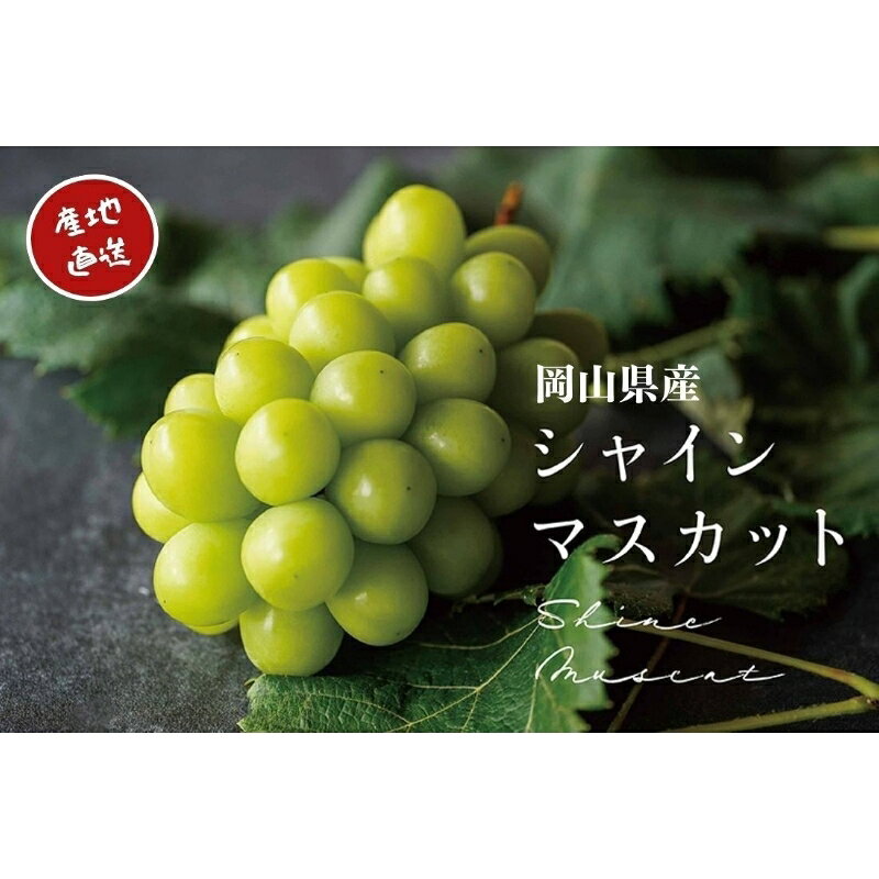 【ふるさと納税】 【2026年先行予約】厳選 岡山県産 シャインマスカット 1.0kg以上（2房） 1.5kg以上（..