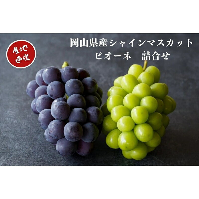 【ふるさと納税】 【2026年先行予約】 厳選 岡山県産 シャインマスカット・ピオーネ 詰め合せ 1.0kg以..