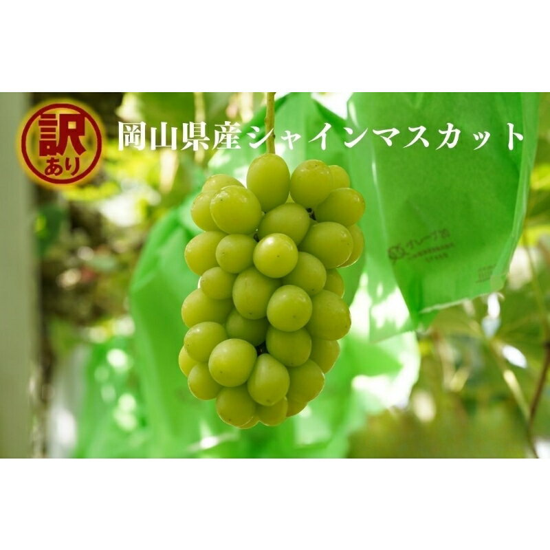 【ふるさと納税】 【2026年先行予約】岡山県産 【訳あり】 シャインマスカット 1.1kg以上（2房） 1.6kg..