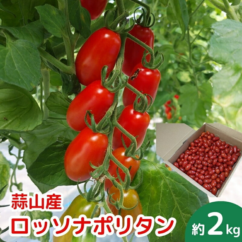 【ふるさと納税】亮麻農園 イタリアントマト「ロッソナポリタン」2kg <2025年8月~10月ごろ順次発送予定> 野菜 新鮮 産地直送 旬野菜 旬