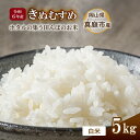 【ふるさと納税】令和6年産 きぬむすめ 白米 5kg 岡山県真庭市産 / 国産 お米 ブランド米【takenaka001】