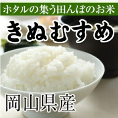 【ふるさと納税】<定期便全3回> 令和6年産 きぬむすめ 無洗米 約5kg ×3回 岡山県真庭市産 / 国産 お米 ブランド米【takenaka-tkb003】 【ふるさと納税】<定期便全3回> 令和6年産 きぬむすめ 無洗米 約5kg ×3回 岡山県真庭市産 / 国産 お米 ブランド米【takenaka-tkb003】