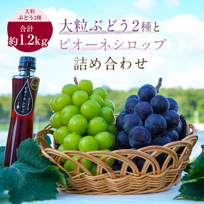 大粒ぶどう2種(計約1.2kg)とピオーネシロップ詰め合わせ　ピオーネ　シャインマスカット　岡山県産【1144581】