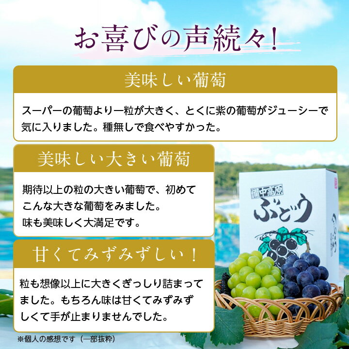 【ふるさと納税】【岡山県真庭市】大粒ぶどう2種セット シャインマスカット入り　(合計約1.2kg)　【1145128】