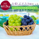 3位! 口コミ数「3件」評価「4.33」【岡山県真庭市】大粒ぶどう2種セット シャインマスカット入り　(合計約1.2kg)　【1145128】