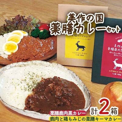 【ふるさと納税】美作の国　薬膳カレー2Pセット(薬膳鹿肉黒カレー1箱+鹿肉と鶏もみじの薬膳キーマカレー1箱)【1107317】 1