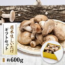 【ふるさと納税】原木生しいたけギフトセット【配送不可地域:離島・北海道・沖縄県】【1154810】