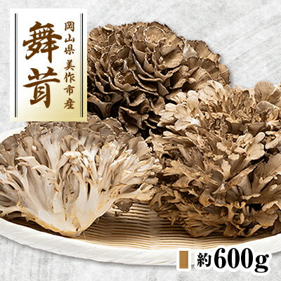 【ふるさと納税】舞茸　約600g【配送不可地域：離島】【1154814】