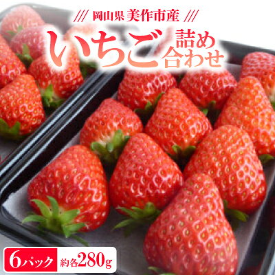 【2025年4月発送開始】岡山県美作市産 いちご詰合せ(約280g×6パック)【配送不可地域：離島・北海道・沖縄県】【1454782】