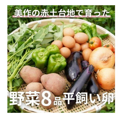 12位! 口コミ数「0件」評価「0」【畑から直送】味覚を育む旬の野菜約8種と自然卵10コ入り【配送不可地域：離島】【1483988】