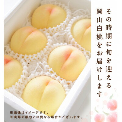 【ふるさと納税】岡山県産　白桃 6玉(1.5kg以上) 等級:ロイヤル 化粧箱入り【配送不可地域：離島・北海道・沖縄県】【1505624】