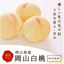 【ふるさと納税】【2026年発送】岡山県産 白桃 8玉(2kg以上) 等級:ロイヤル 化粧箱入り 【配送不可地域:離島・北海道・沖縄県】【1505625】
