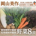 【ふるさと納税】【畑から直送】岡山美作産 旬を楽しみ味覚を育む野菜約8種(約5kg)【配送不可地域:離島】【1524200】