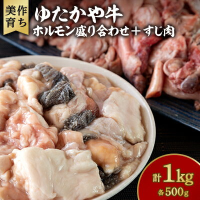 【ふるさと納税】美作育ちの☆ゆたかや牛☆ホルモン盛り合わせ(500g) ・すじ肉(500g) 合計1kg【配送不可地域:離島】【1530933】