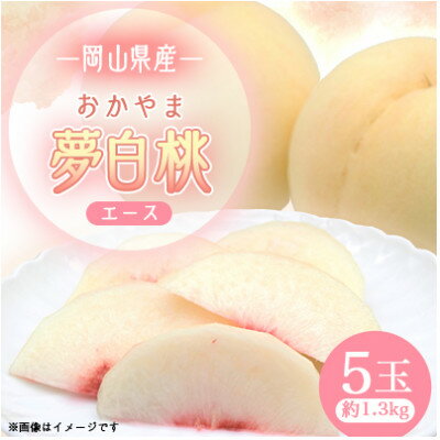 【ふるさと納税】岡山県産おかやま夢白桃5玉【エース】【配送不可地域:離島】【1601408】