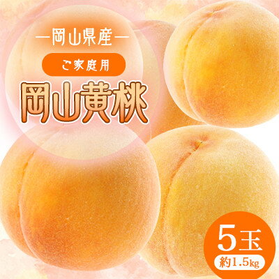 【ふるさと納税】岡山黄桃 5玉 【ご家庭用】1.5キロ【1601436】