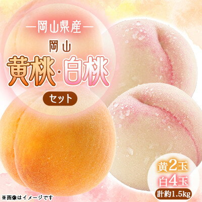 【ふるさと納税】岡山白桃4玉・黄桃セット2玉 食べ比べセット【1601447】