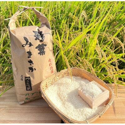 令和六年産 コシヒカリ 白米5kg【1605246】