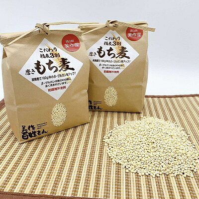 令和2年産 美作市産もち麦セット【1075537】