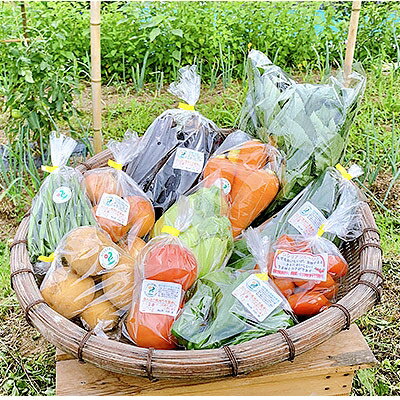 ラブラール美作 季節の新鮮野菜セット(約10種類)【1085248】