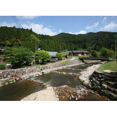 【ふるさと納税】渓流釣り体験【ファミリー入場券】【1672833】