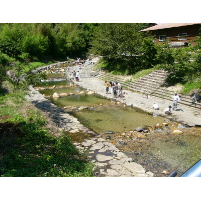 【ふるさと納税】渓流釣り体験【大人グループ入場券】【1672839】