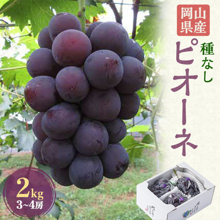2026年先行予約 岡山県産 ピオーネ2kg箱(3〜4房)[配送不可地域:離島]