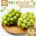 【ふるさと納税】岡山県産 朝採りシャインマスカット 1.3kg【配送不可地域:離島】【1395859】