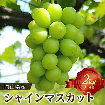 岡山県産シャインマスカット2kg(3～4房)【配送不可地域：離島】【1088752】