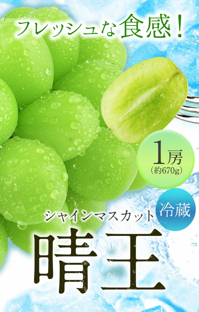 【ふるさと納税】[2024年先行予約]シャインマスカット 晴王 1房(約670g)《9月上旬-10月上旬頃出荷(土日祝除く)》 田口青果 マスカット 送料無料 岡山県 浅口市 シャインマスカット ぶどう フルーツ 果物 ギフト 国産 岡山県産 くだもの 果物 青果物【配送不可地域あり】