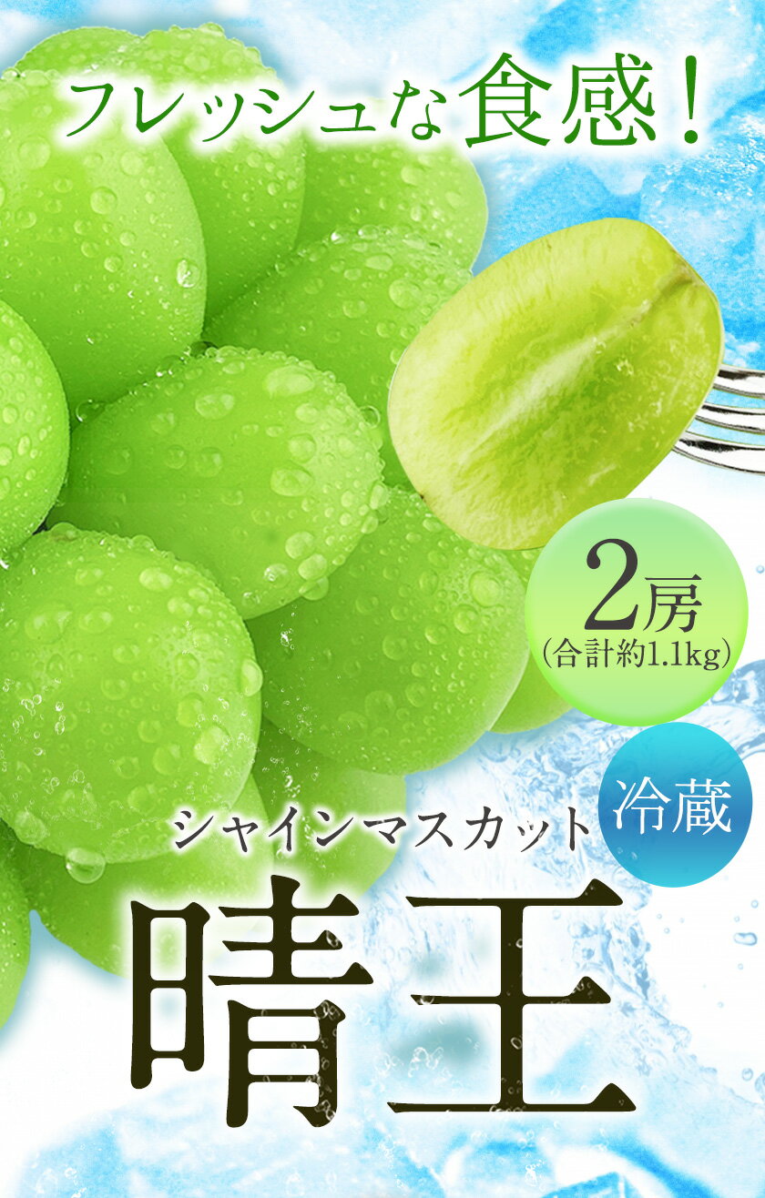 【ふるさと納税】[2024年先行予約]シャインマスカット 晴王 2房(約1.1kg)《9月上旬-10月上旬頃出荷(土日祝除く)》 田口青果 マスカット 送料無料 岡山県 浅口市 シャインマスカット ぶどう フルーツ 果物 贈り物 国産 岡山県産 くだもの 果物 青果物【配送不可地域あり】