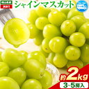 3位! 口コミ数「1件」評価「2」【先行予約】シャインマスカット 国産 シャインマスカット 約 2kg 3~5房《2024年9月中旬-11月上旬頃より発送予定(土日祝除く)》･･･ 