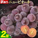 【ふるさと納税】【先行予約】ぶどう ニューピオーネ 訳あり ニューピオーネ 約1.2kg 2房 ぶどう ブドウ 葡萄 果物 秋旬 訳あり 優品 厳選出荷 フルー...
