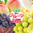 【ふるさと納税】定期便 お試し フルーツ 果物 全3回 桃 約1kg(3~5玉前後) シャインマスカット 約1房 約650g 梨 約1.8kg (2~5玉前後)《7月上旬-1月末頃出荷》岡山県 浅口市 旬 ご家庭用 訳あり 頒布会 送料無料
