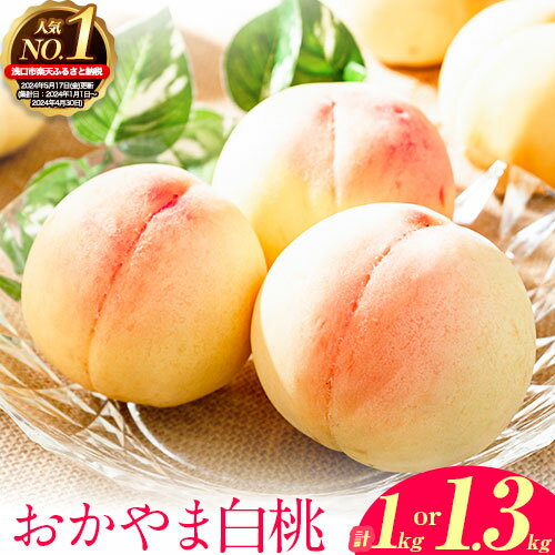 【ふるさと納税】【令和6年度出荷分 先行予約】おかやま白桃 選べる1kg 3~5玉 or 1.3kg 4~8玉前後 岡山県産 ご家庭用 訳あり《2024年6月下旬-9月上旬頃より発送予定》岡山県 浅口市 白桃 黄桃 はなよめ 日川白鳳 白鳳 清水白桃 おかやま夢白桃 果物 フルーツ 桃 白桃 もも